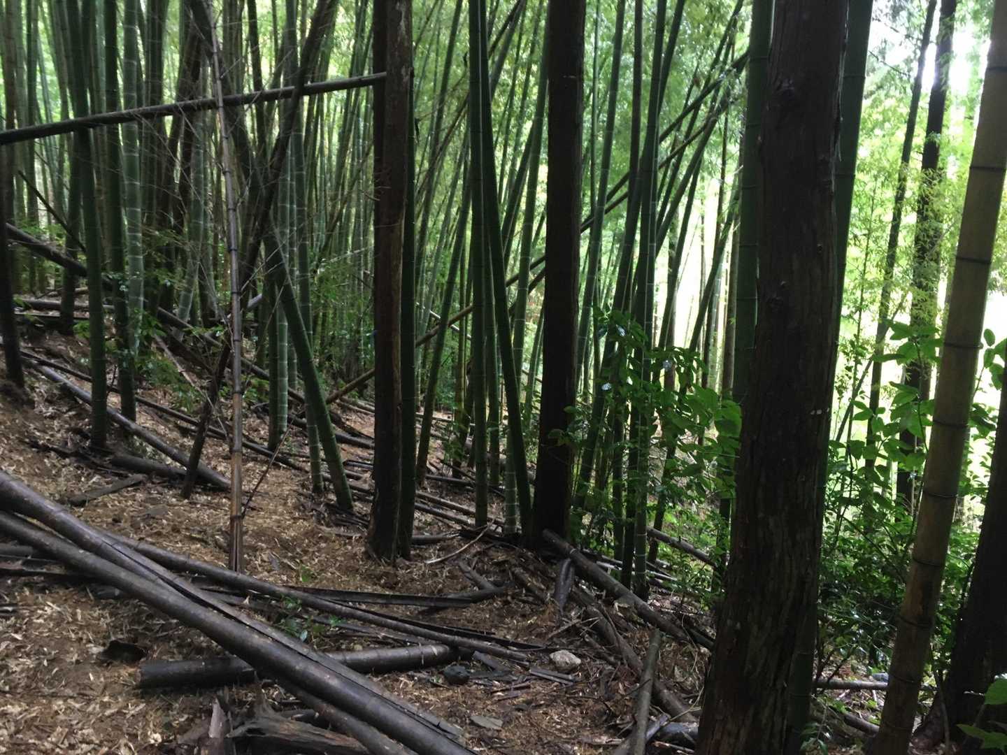 無理矢理進む