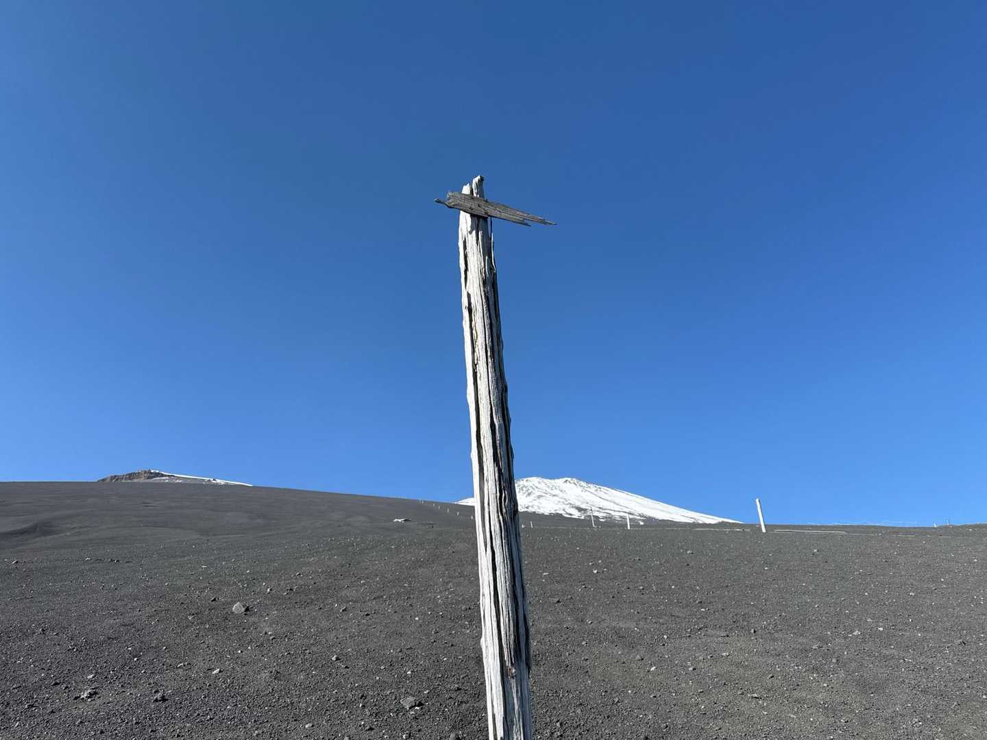 下山ルートのこの分岐だけ、わかりにくかった
これを、右に行く、あんまり踏み跡ないし、目印ないし💦