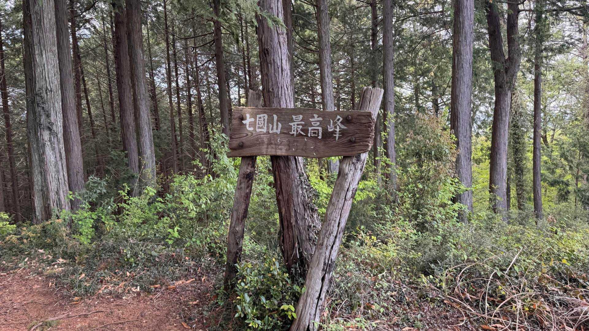 東青梅駅-塩船観音寺-笹仁田峠-七国峠-七国山-七国山登山 縦走コースの写真