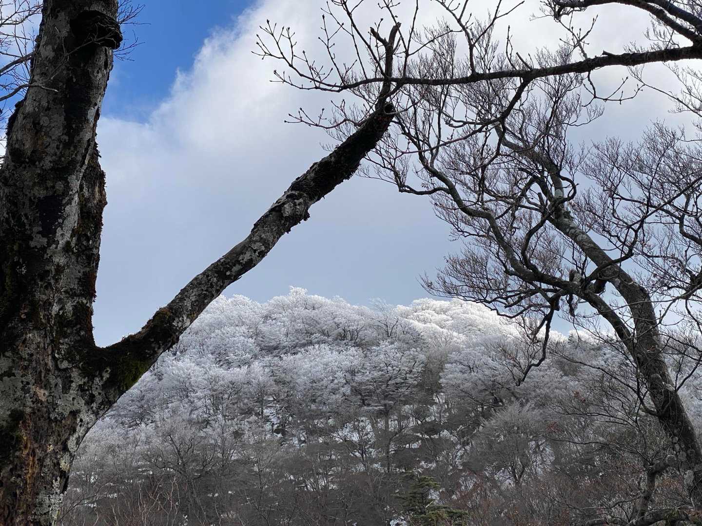 上は雪☃️