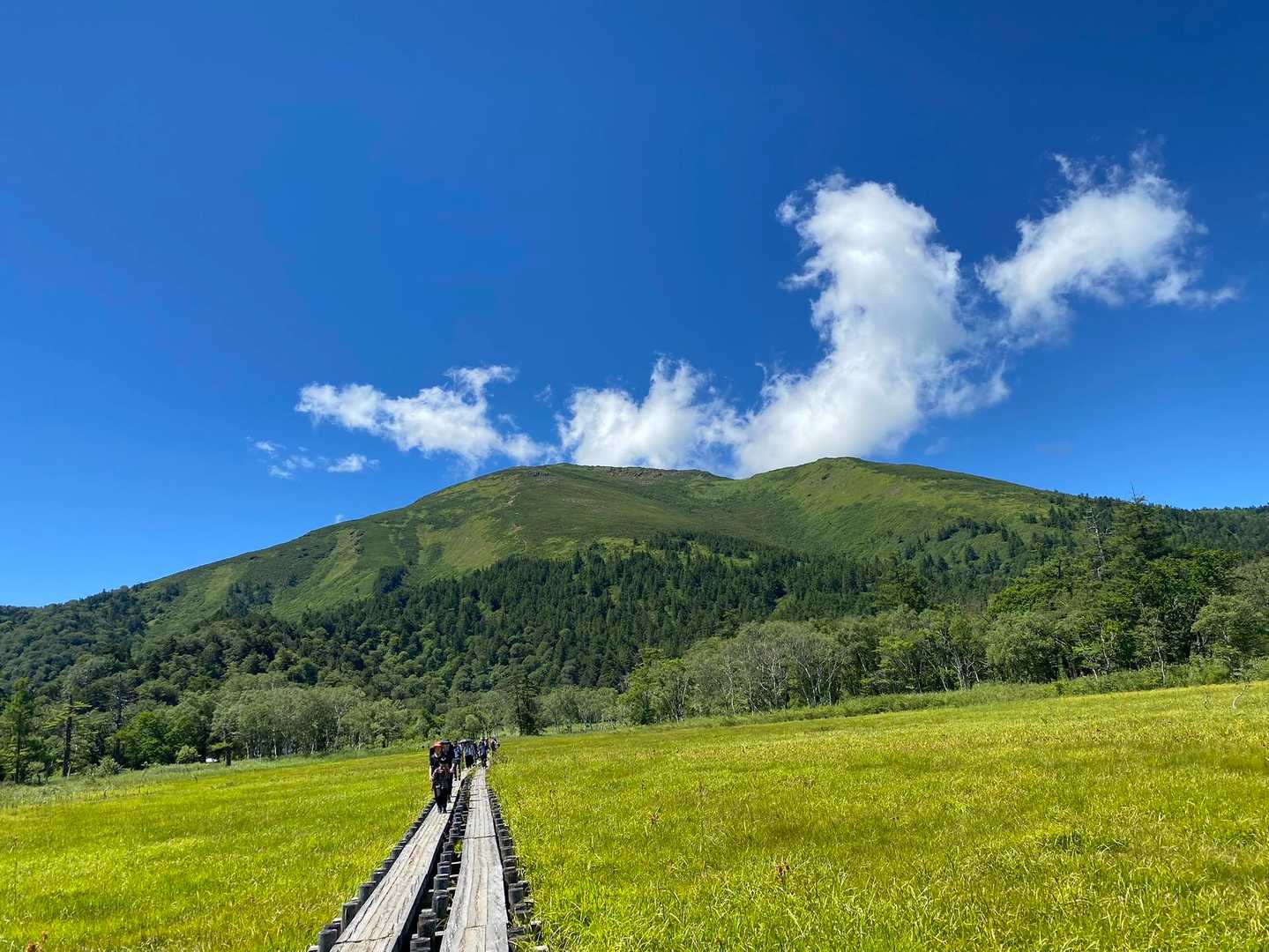 振り返って明日登る至仏山⛰️