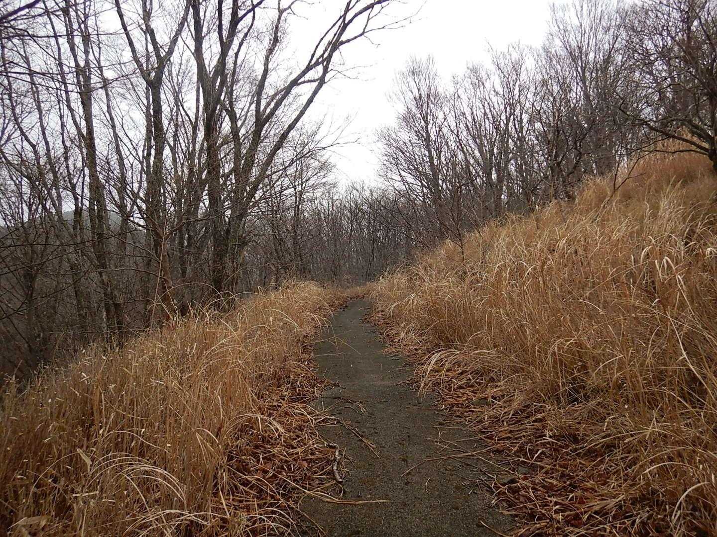 万丈塔-フキクサ山-鏡山-立石山-ながみず山 往復コースの写真