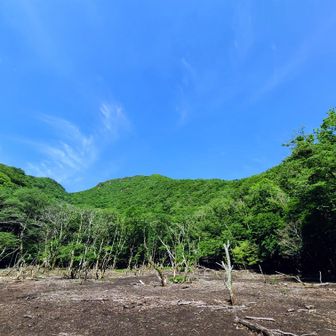 ソババッケで振り返って。
くじゅう今年もありがとー😃