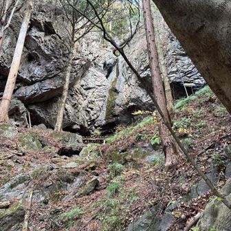 一滴の水もなかった不動の滝。😭