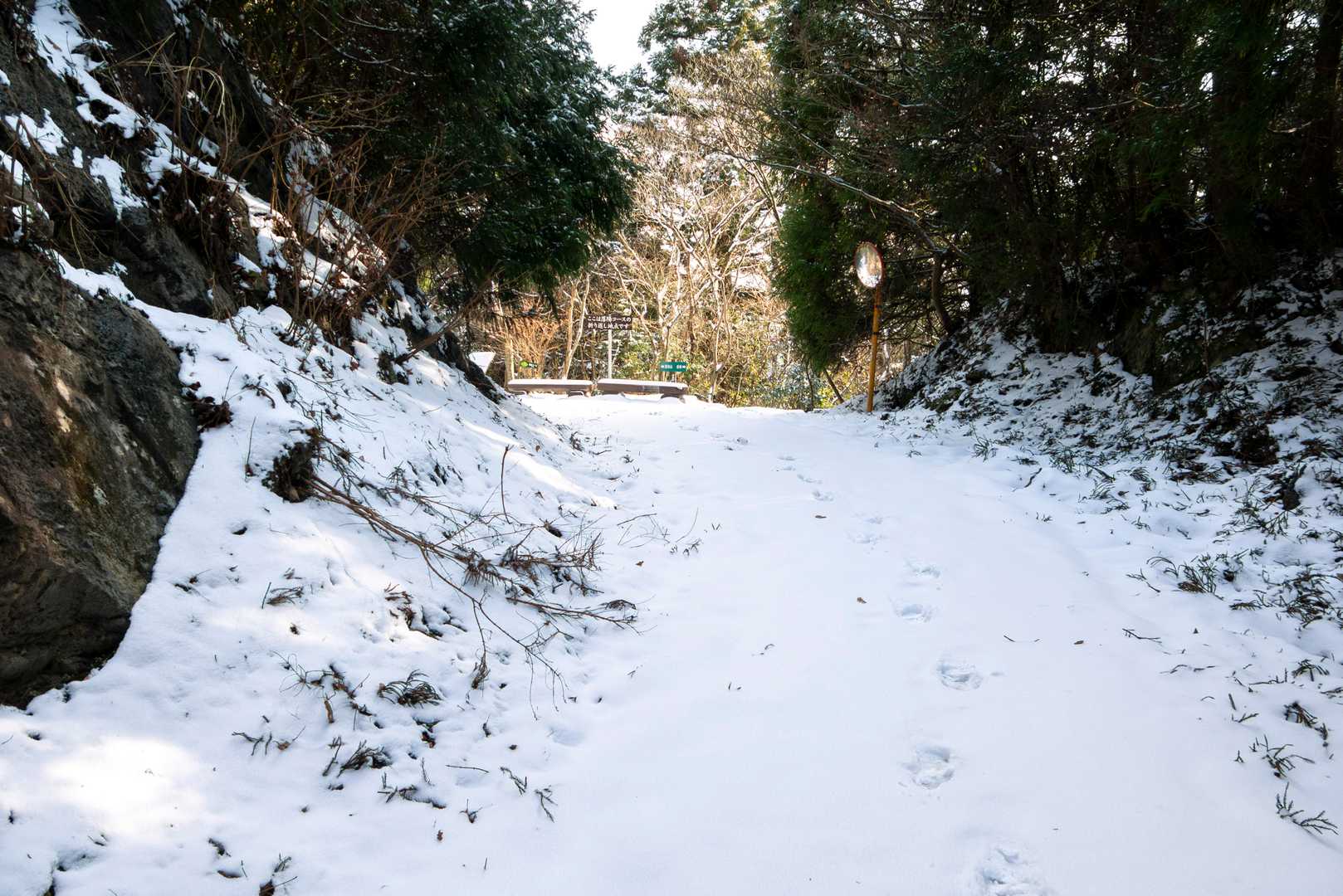 8番目の写真の落葉コース終点が見えてきました