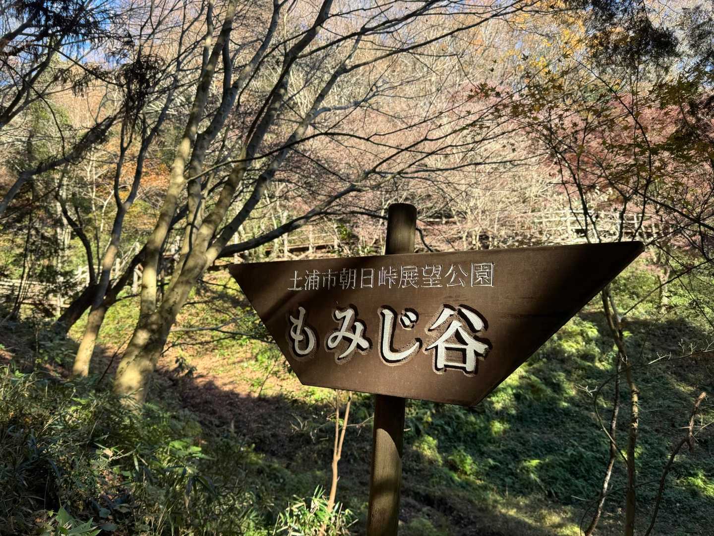 良い時期に訪れられず残念