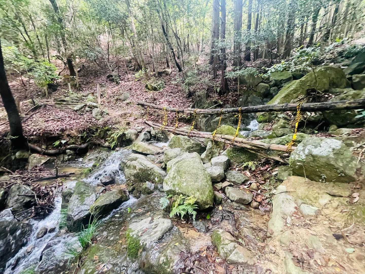 沢をひとつ渡るだけで、景色の温度が少し変わる気がして、その“境界の一歩”がとても愛おしく感じられました☺️