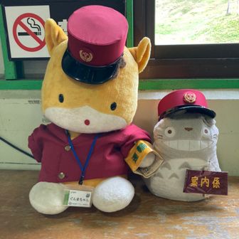 ❤️💙ミャクどあら🐨⚾️🐲