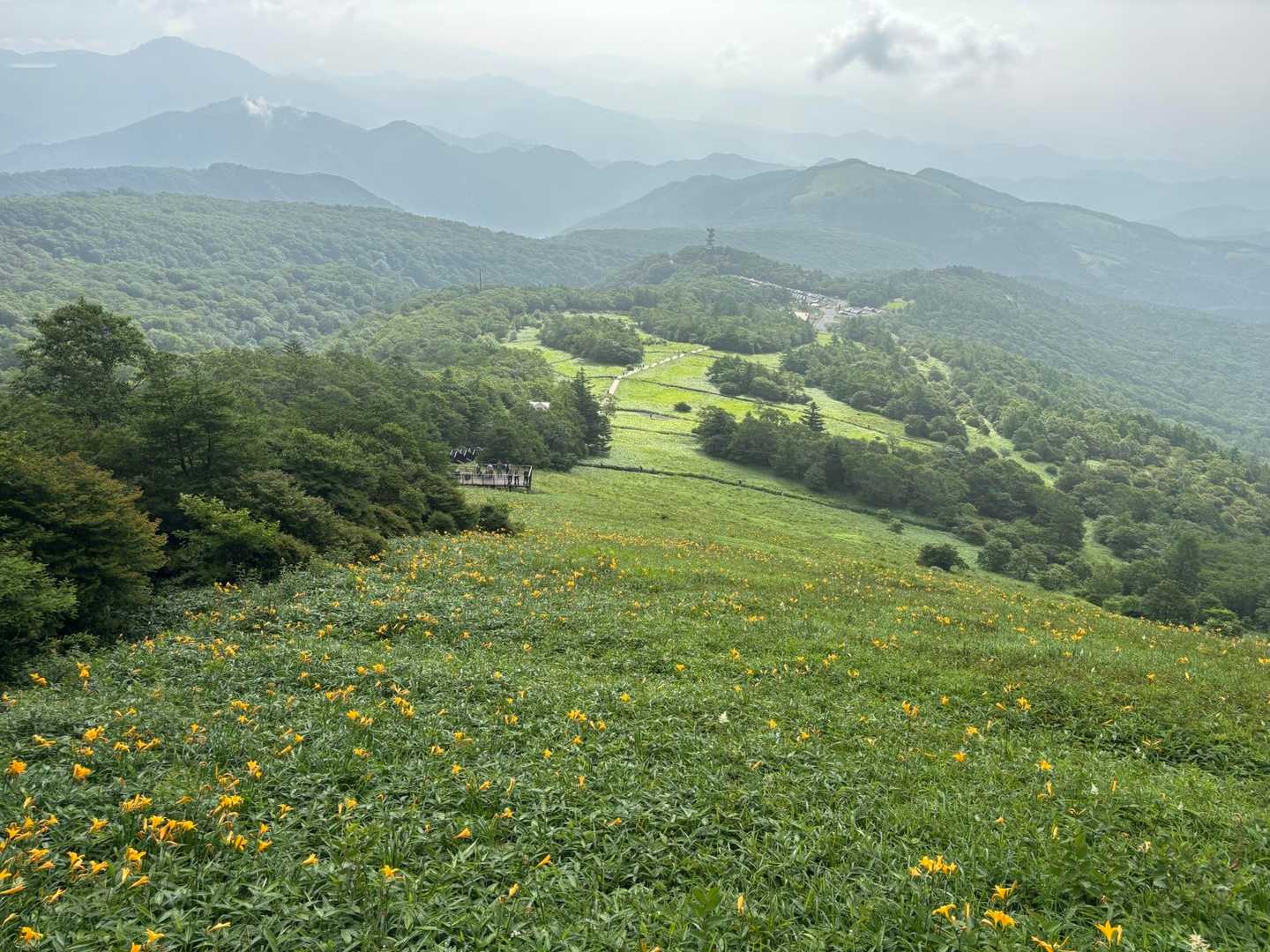 小丸山 往復コースの写真