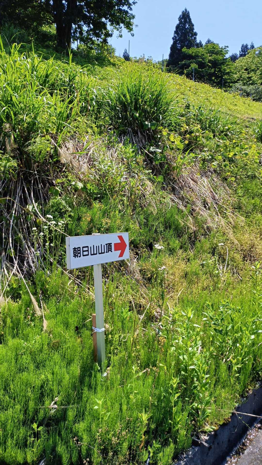 「どこまで行ったら山道になるのだろう？」と考えながら歩く