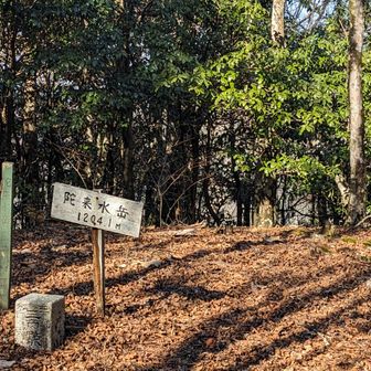 陀来水岳⛰
このあとの激下りが、細くて凍りかけてて中々コワかった😓