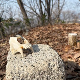 皆さま 初めまして😊

山歩き相棒の 🐻‍子ﾁｬﾝです 😆