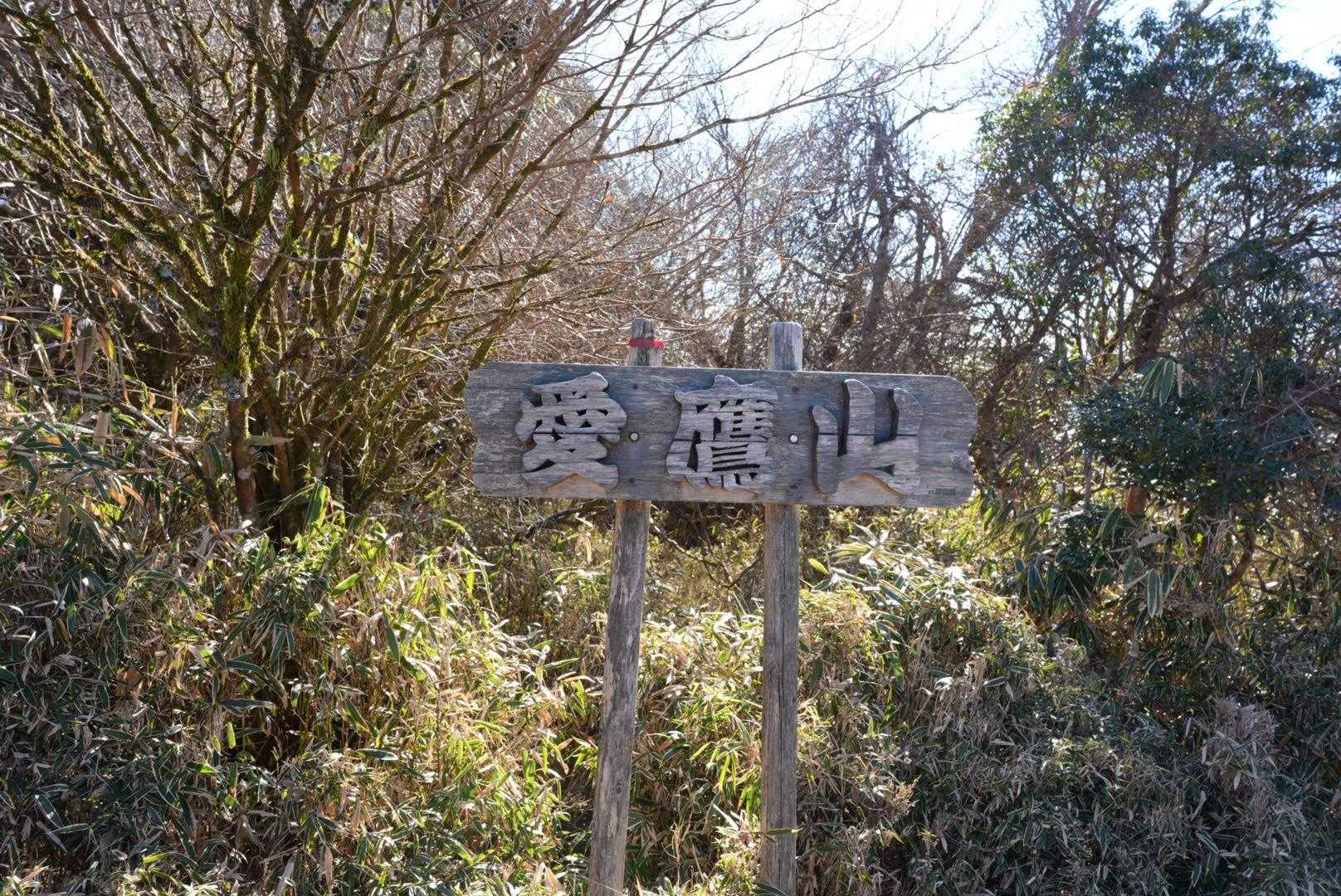 登頂〜