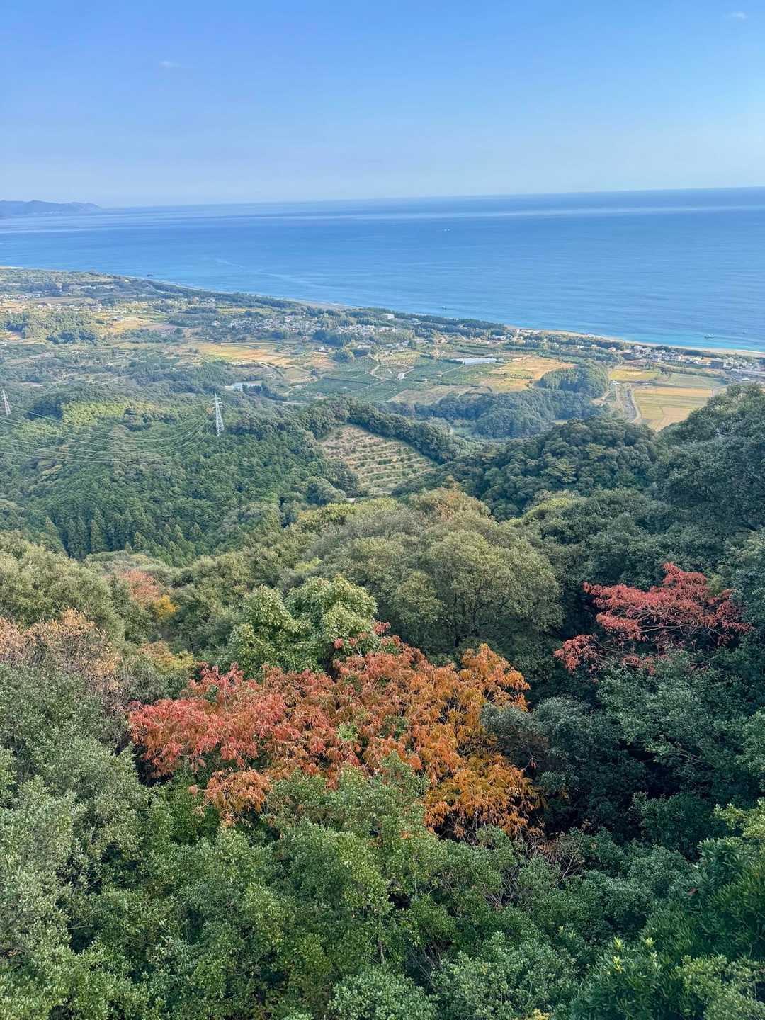 井田舞子バス停-平見登山口-大烏帽子山-牛ノ背-横手延命地 周回コースの写真
