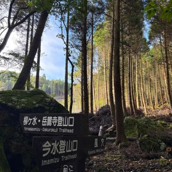 今水登山口