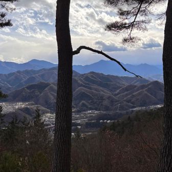 富士山は、完全に見えません