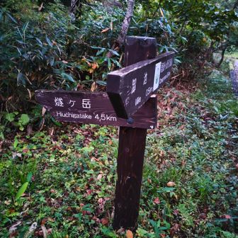 直ぐを左折です。燧ヶ岳迄4.5km