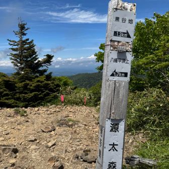 復路に源太森