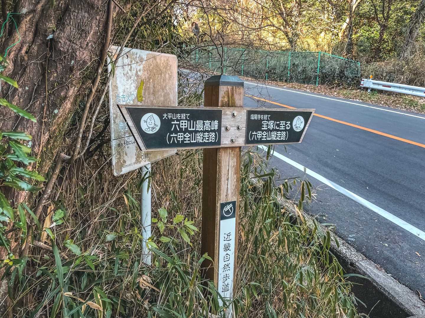 車道跨いで最高峰目指すでぃス(ง ˘ω˘ )ว
