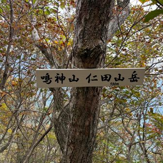 すぐさま仁田山岳⛰️