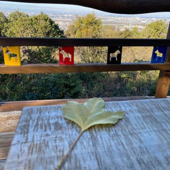 午年仕様の展望台🐎
有馬記念、なにがくるかな〜❓