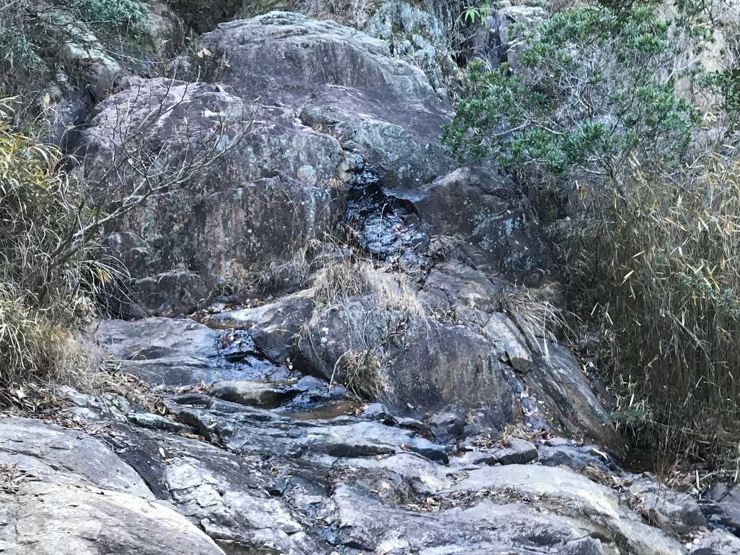 水量は少ないもののちょっとした小滝も