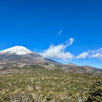 駐車場から10分の腰切塚
大したことないだろうと侮っていたけど、予想以上に眺め良かった😅