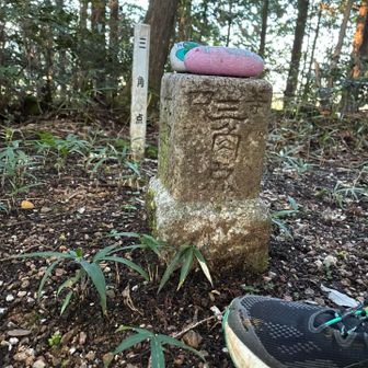 お久しぶりのP313△