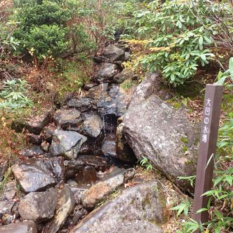 大凹の水場。「おおぼこ」と読むのだそう。