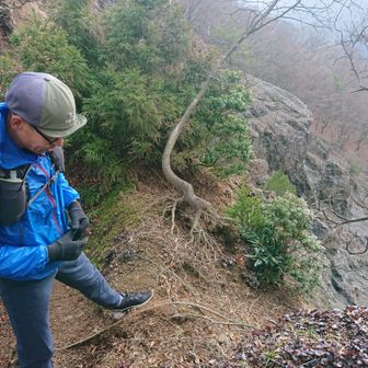 ㊗️近江百山♪銚子ヶ口＆カクレグラ101・100/101 / 綿はるの登山
