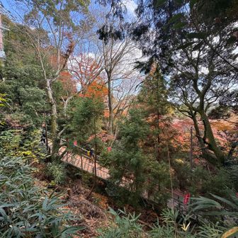 まだまだ紅葉綺麗でした