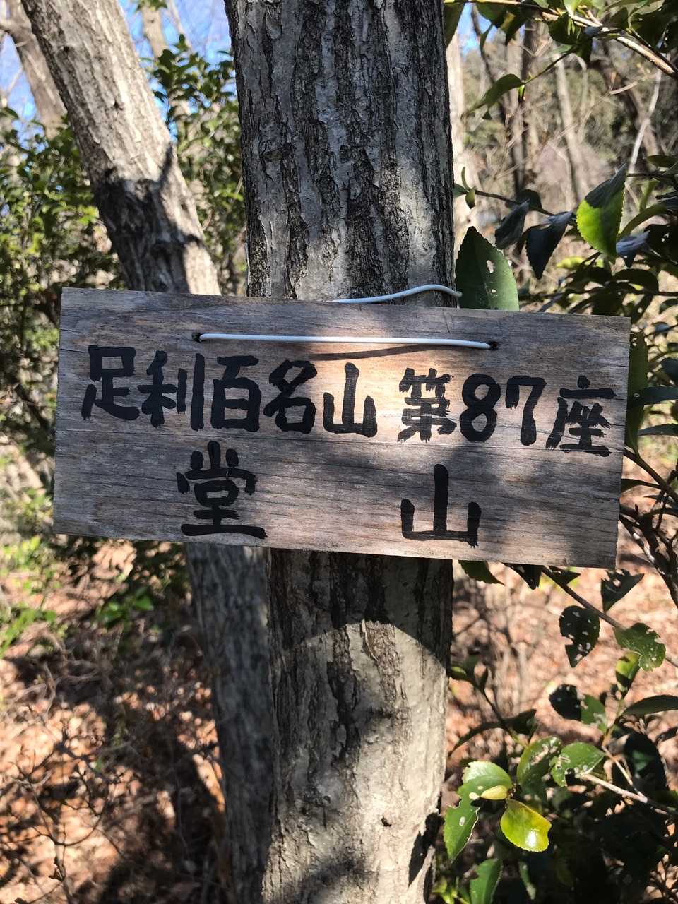 当日第六座目の足利百名山第87座 堂山山名版ＧＥＴ！