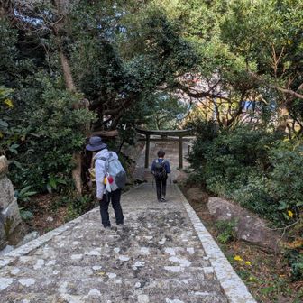階段を降りて…⛩️
階段を登返し…🥵