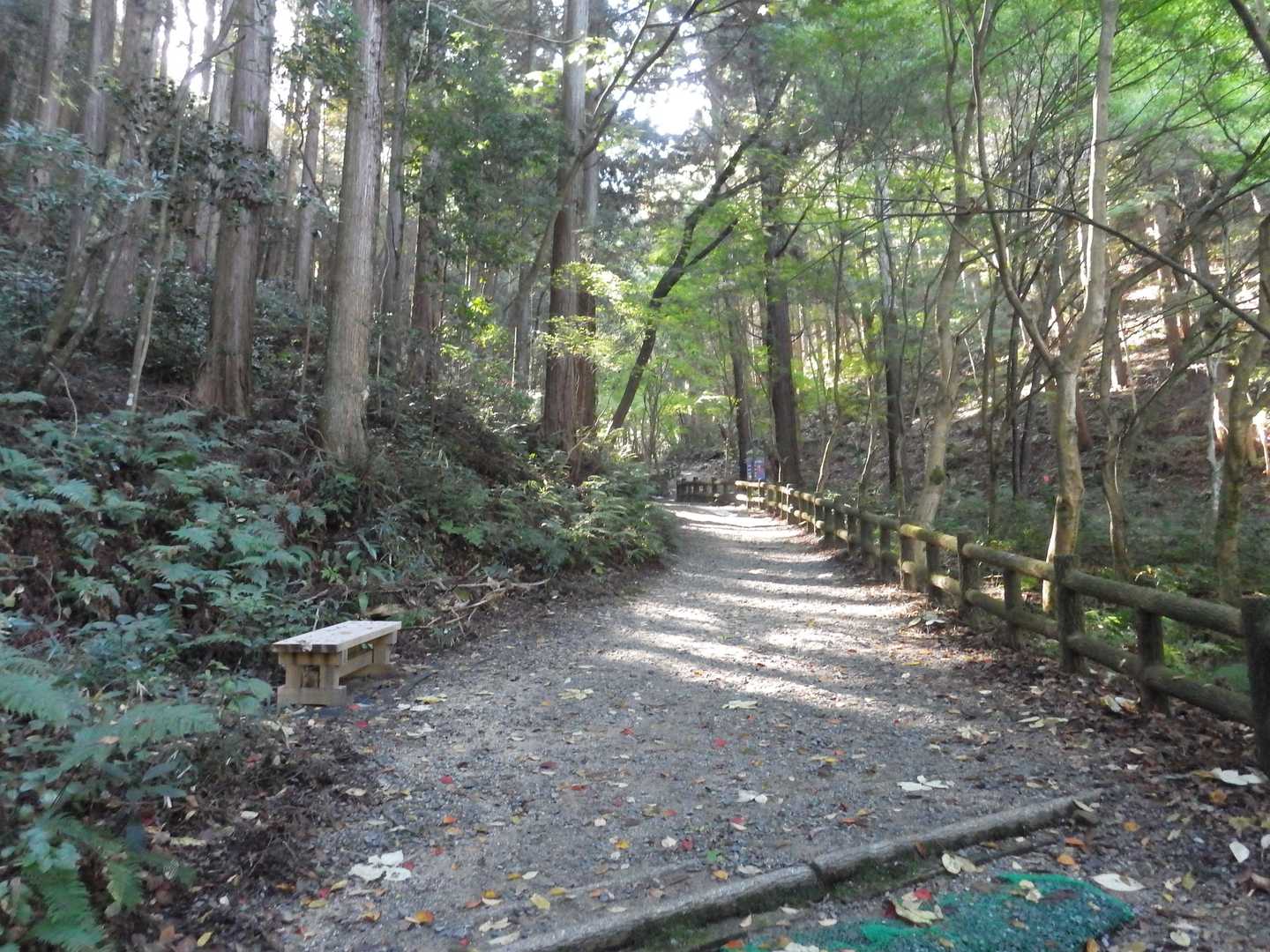 いよいよ久しぶりの山歩き
