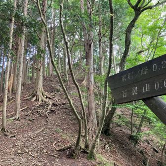 ようやく平らな尾根に出ました
