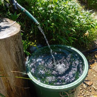 水場はジャバジャバ。冷たくて美味しい