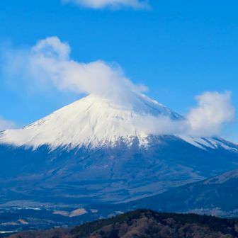 つぶらの公園からの富士山
...ご機嫌になりました🎶