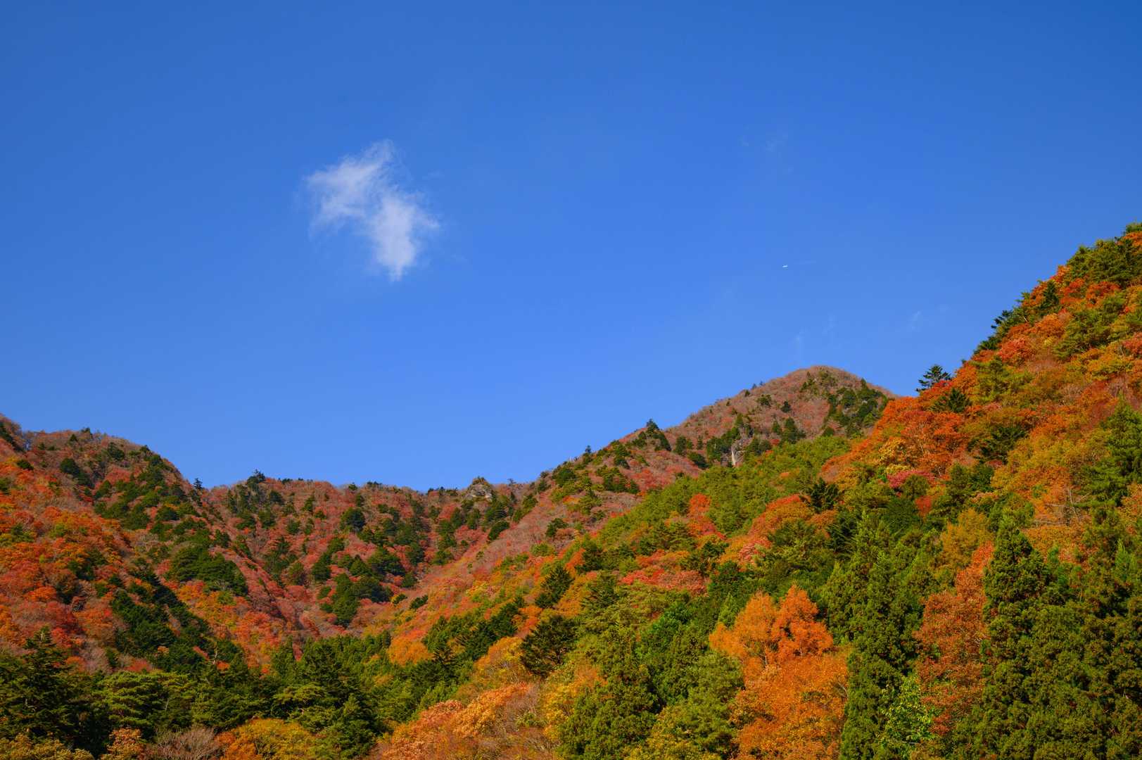 青空と紅葉のコントラストが素敵＾＾