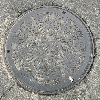 新治地区のマンホール