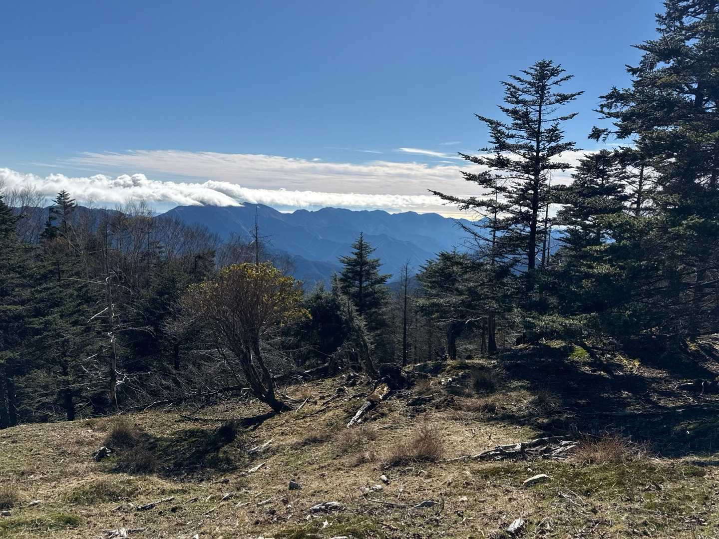 展望スポットから。
伊豆の万二郎岳・万三郎岳・達磨山。