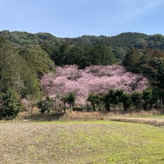 矢岳・城山 2023／3／3撮影