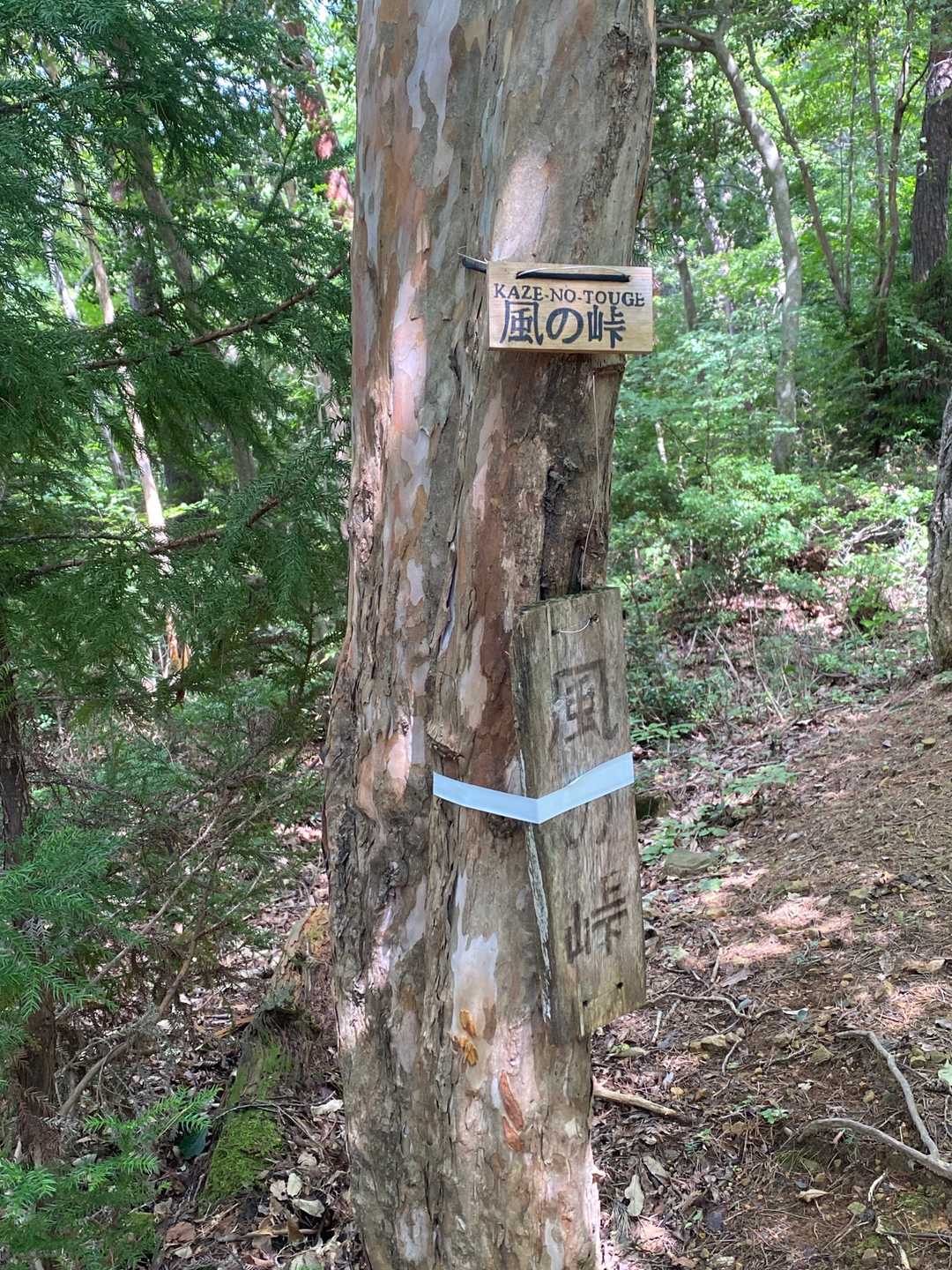 行者山-剣尾山 往復コースの写真