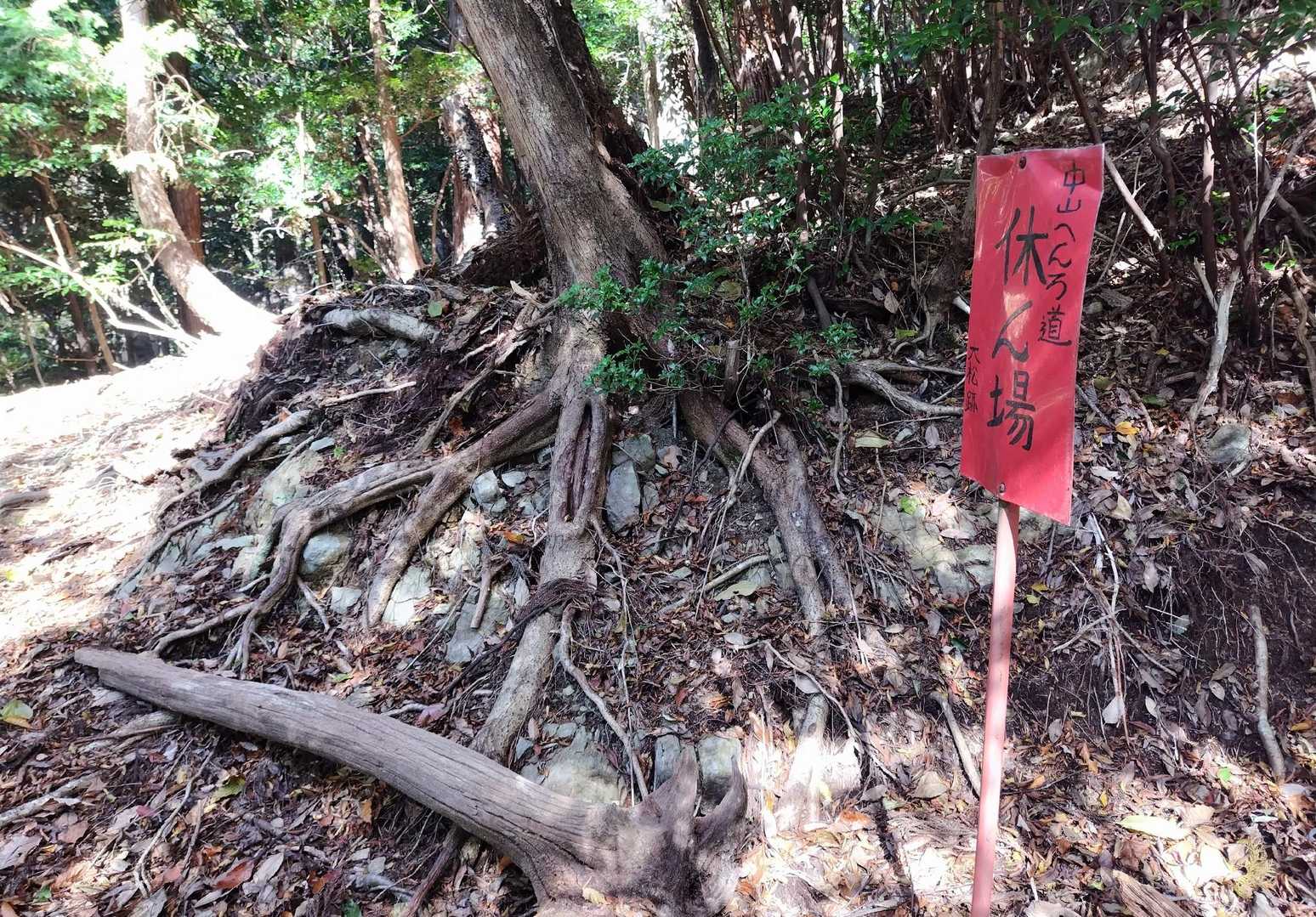 休ん場
私が腰掛けたらつぶれそうな木が…

休まずGo！
