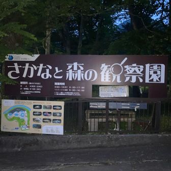 魚と森の観察園🐟