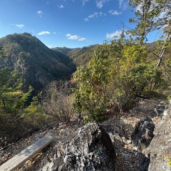 途中、岩場に立ち寄りました。枯れることのない池が枯れてました🐸💧