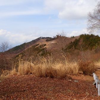 林道からみた雲母山
