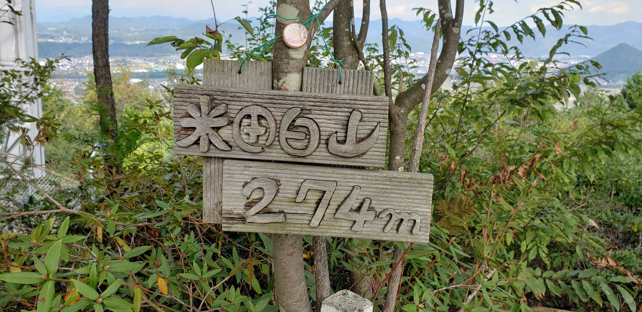 あっという間に山頂⛰️