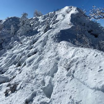 難所を渡り切ると吹き溜まりの雪でもふもふの場所に来ました❄️