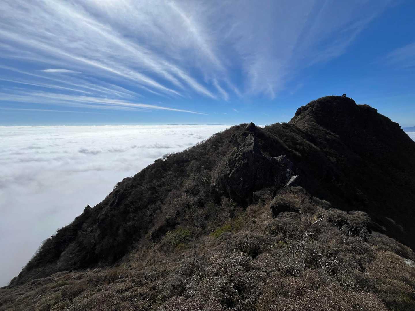 由布登山口バス停-由布岳正面登山口-由布岳 往復コースの写真