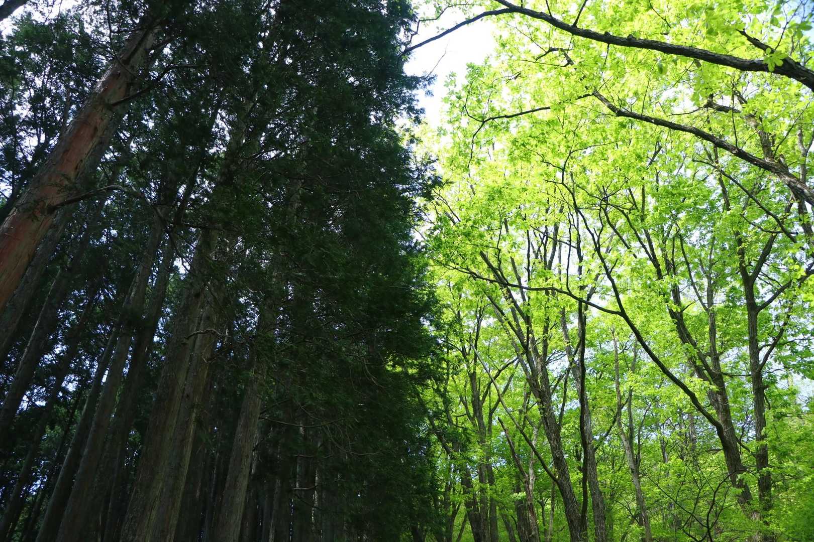 ちょうど半分😁
